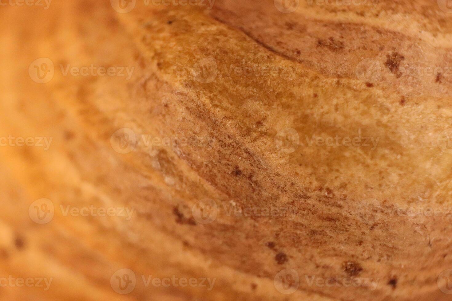 Forest Hazelnut Nut Texture. Macro Closeup. Natural Organic Back photo