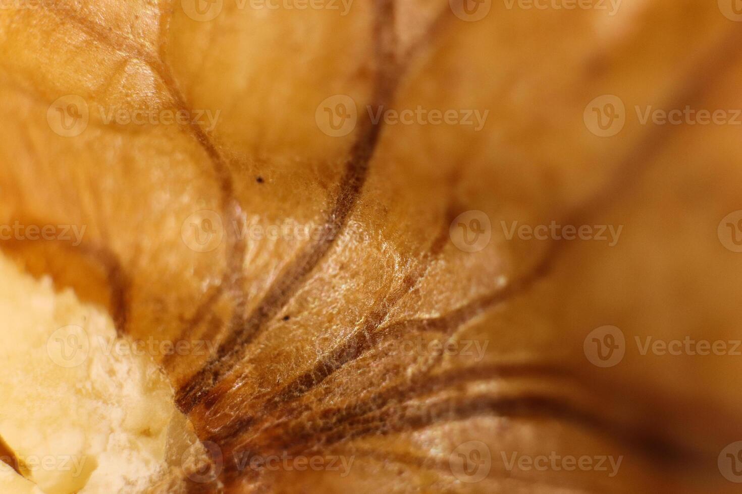 Walnut Nut Texture. Macro Closeup. Natural Organic Background. photo