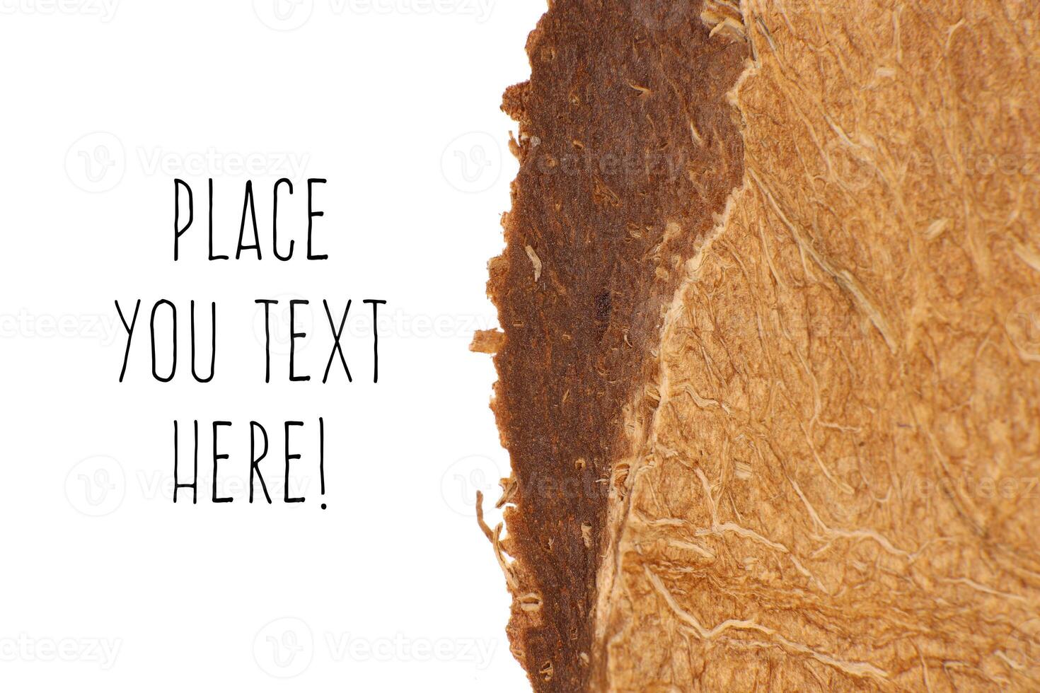 Coconut Nut Fibers Surface Texture. Natural Tropical Background. Place for Text. Macro Closeup. photo