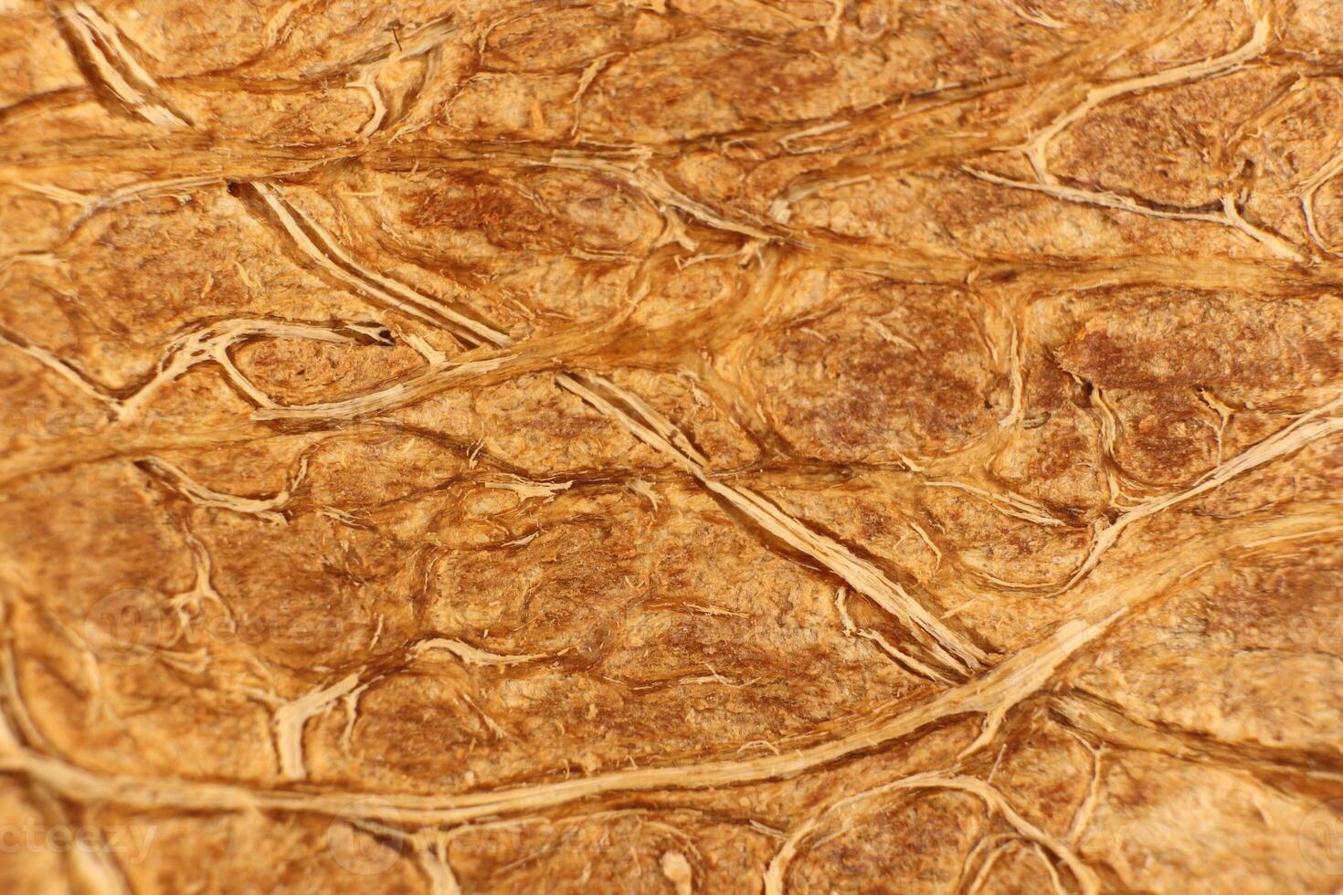 Coconut Nut Fibers Surface Texture. Natural Tropical Background. Macro Closeup. photo