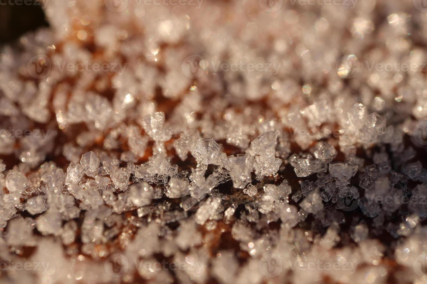 Frosted Dry Leaf Surface Texture. Frost Ice on Forest Morning. Natural Floral Pattern Background. Macro Closeup. photo