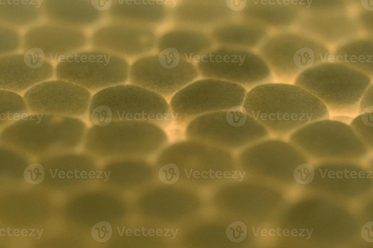 Yellow Foam Plastic Texture. Abstract Styrofoam Background. Macro Closeup. photo