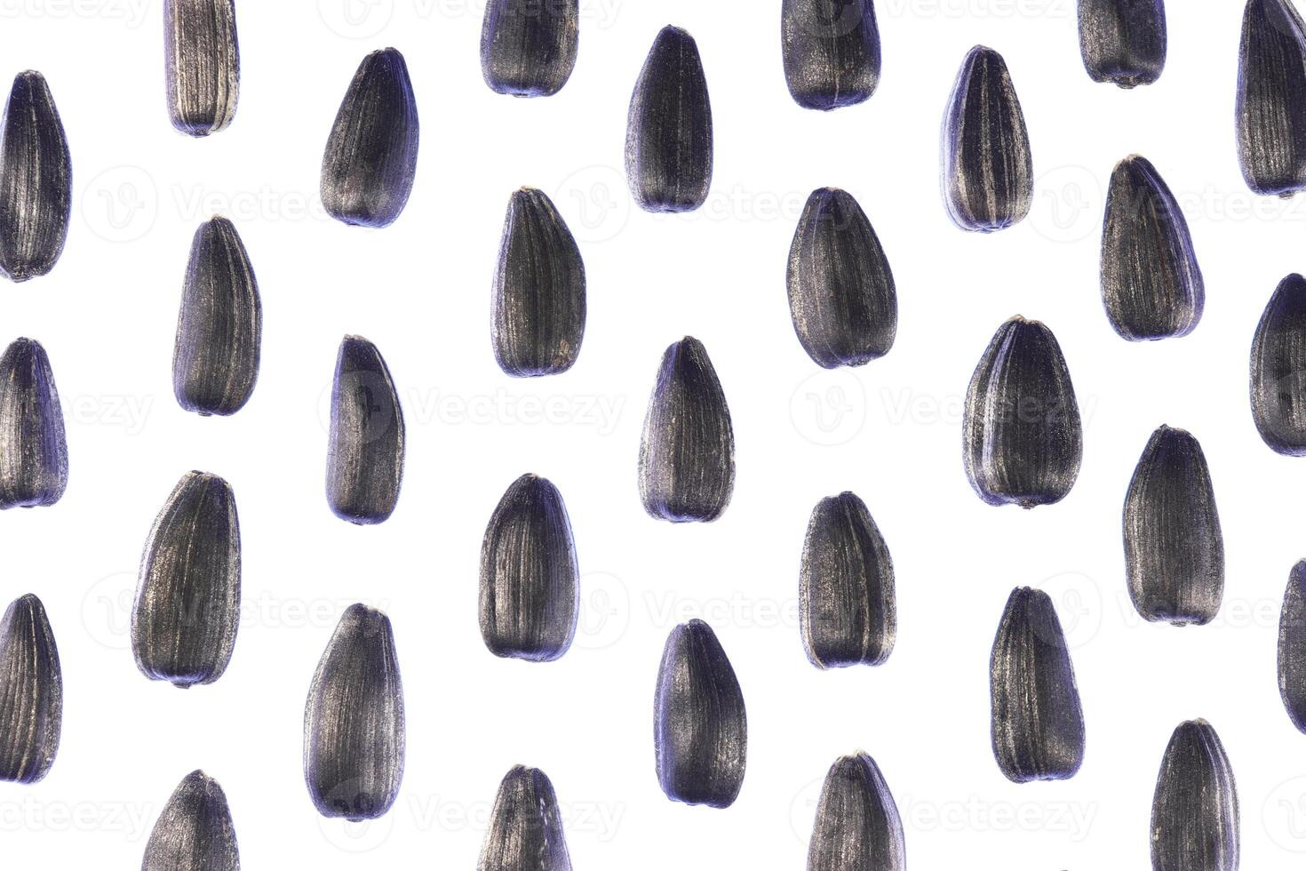 Sunflower Seeds Pattern. Isolated Background. Detailed Texture. Macro Closeup. photo
