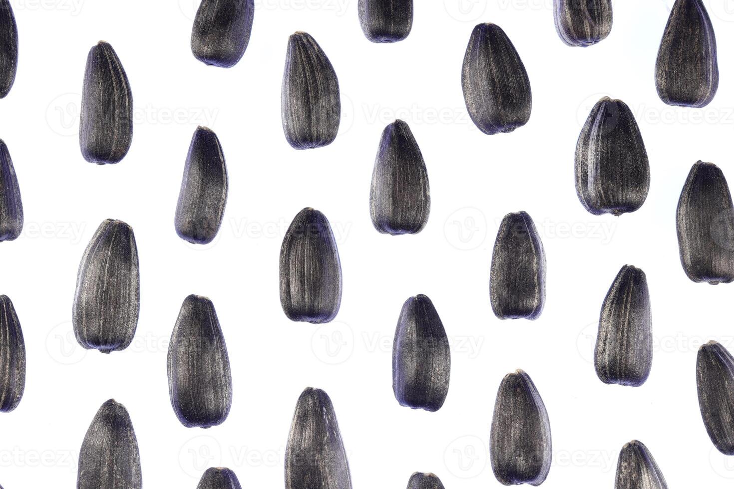 Sunflower Seeds Pattern. Isolated Background. Detailed Texture. Macro Closeup. Landscape Orientation Poster. photo
