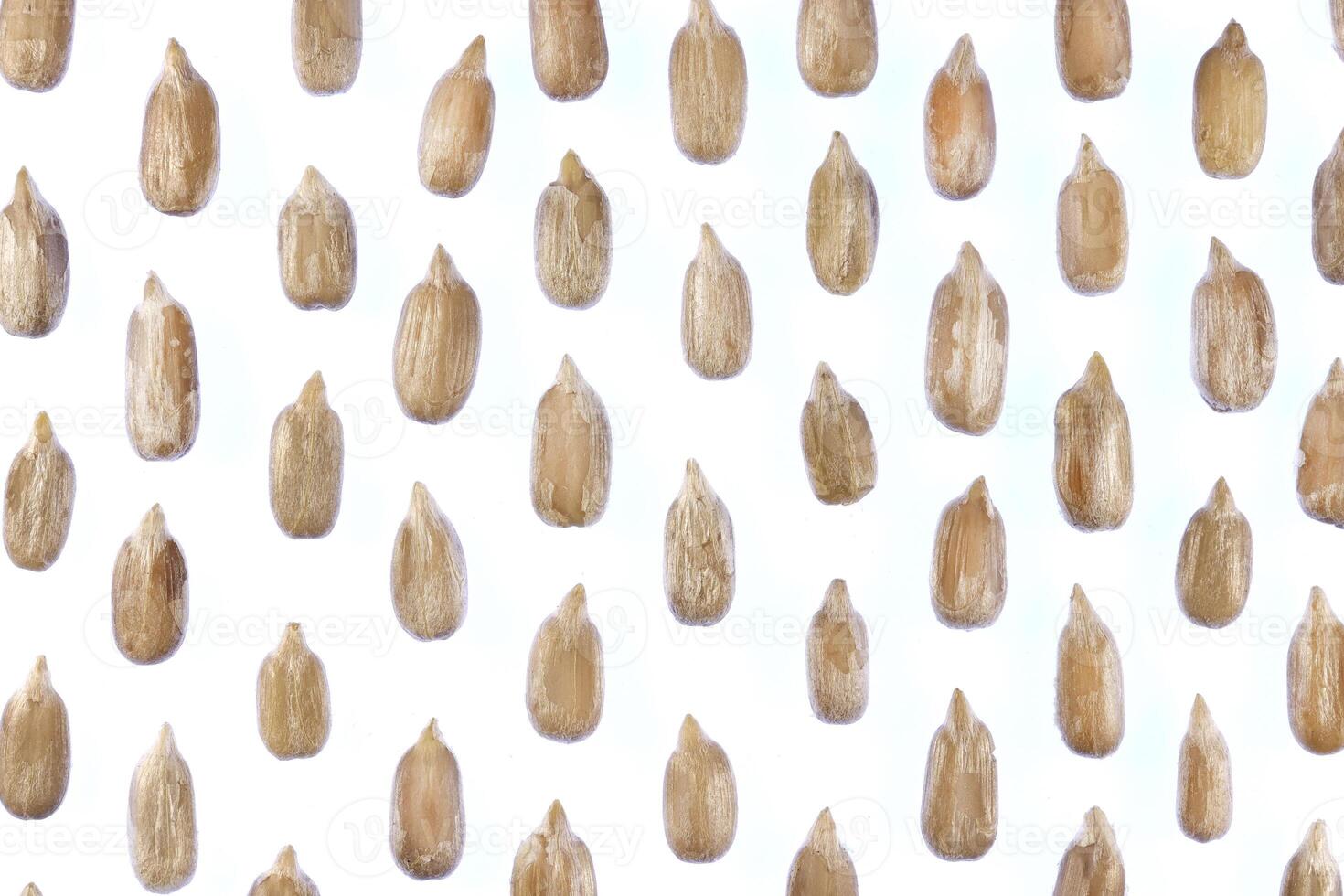 Sunflower Peeled Seeds Pattern. Isolated Background. Detailed Texture. Macro Closeup. Landscape Orientation Poster. photo