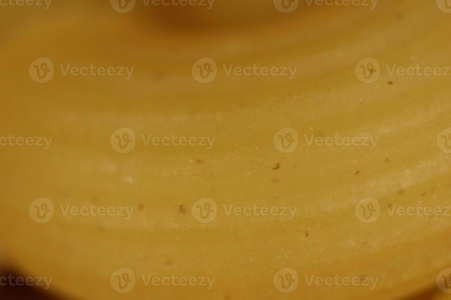 Horns Pasta Texture. Uncooked Macaroni Food Background. Macro Closeup. photo