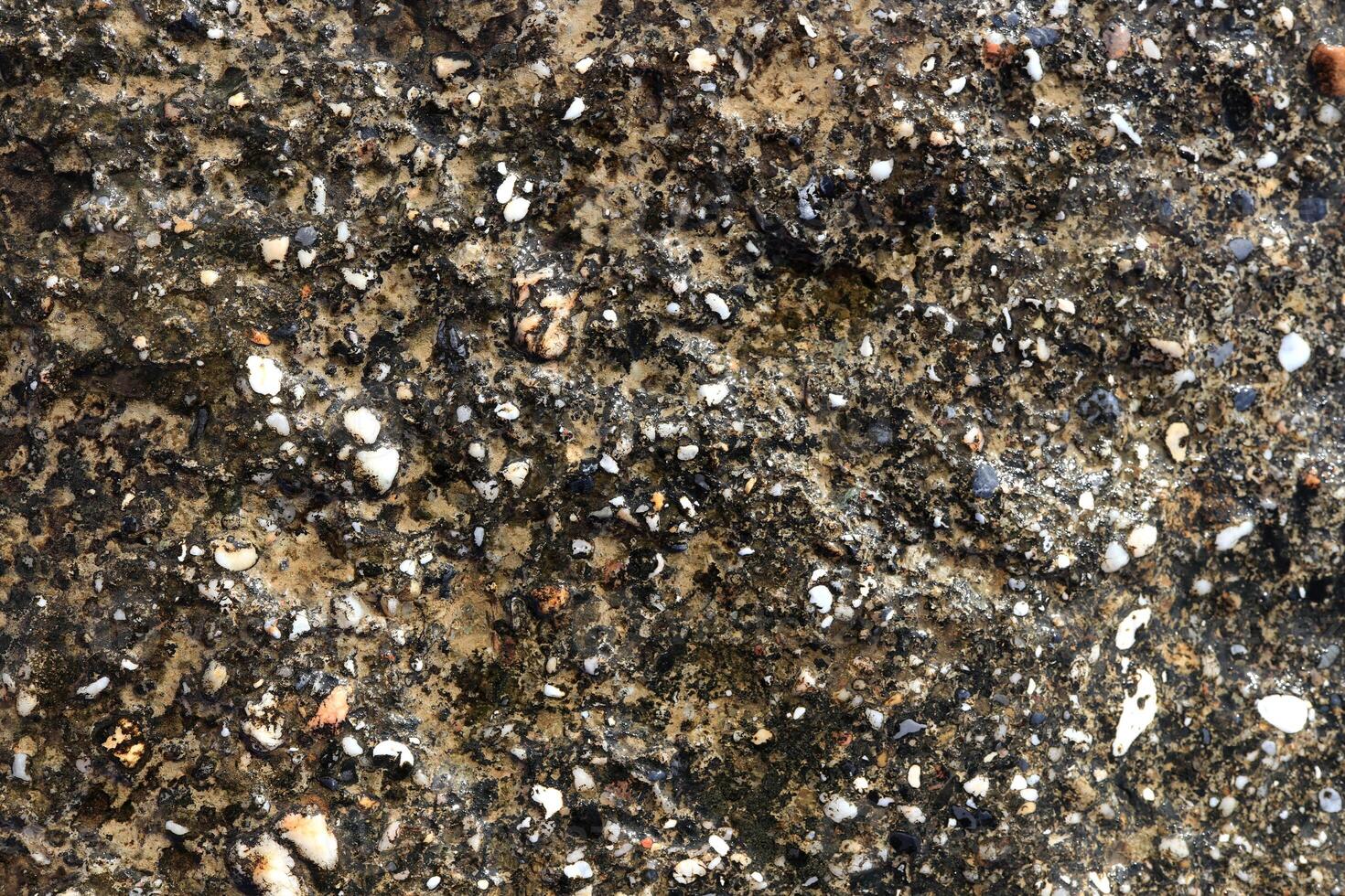 Sea cliff texture. Nautical rock background. photo