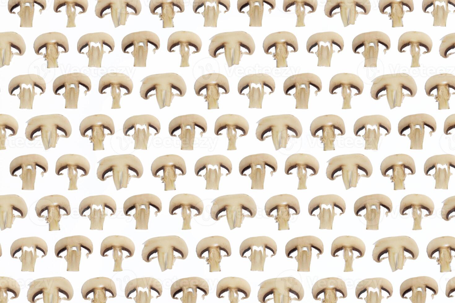 Many champignon slices pattern. Delicious natural texture. Healthy vegetarian background. Landscape orientation. Horizontal derection. photo