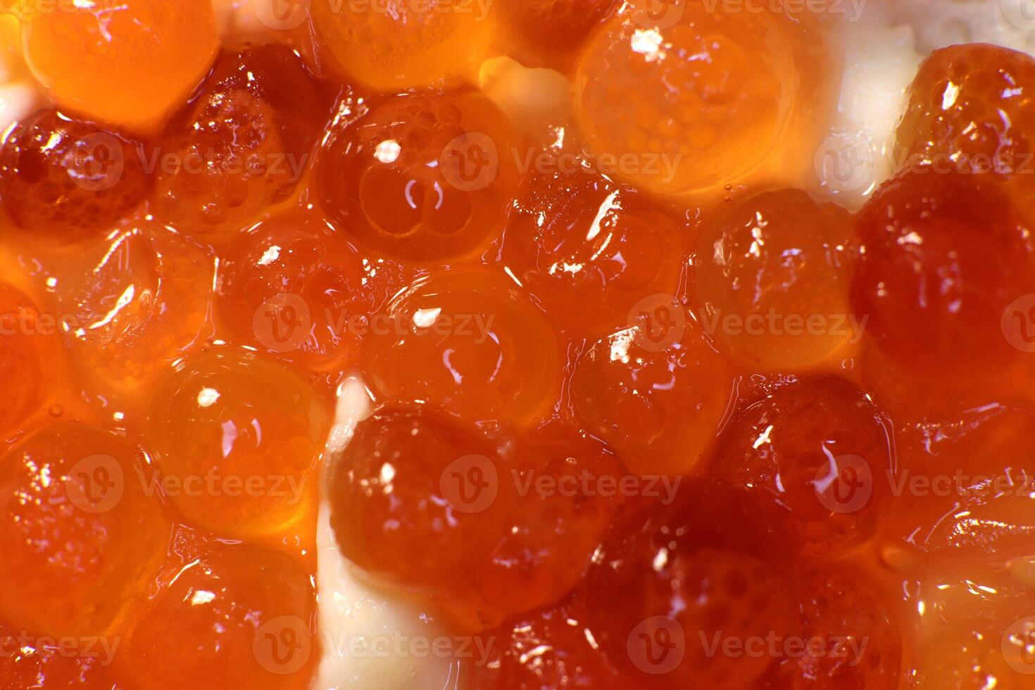 Red caviar on bread and butter. Macro closeup. photo