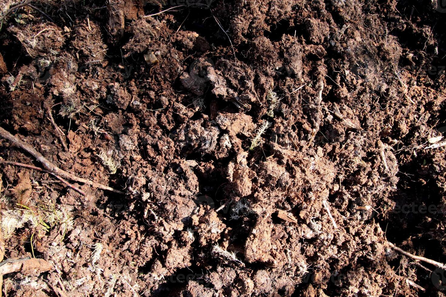 Loose soil texture. Dirt backdrop. Ground background. photo