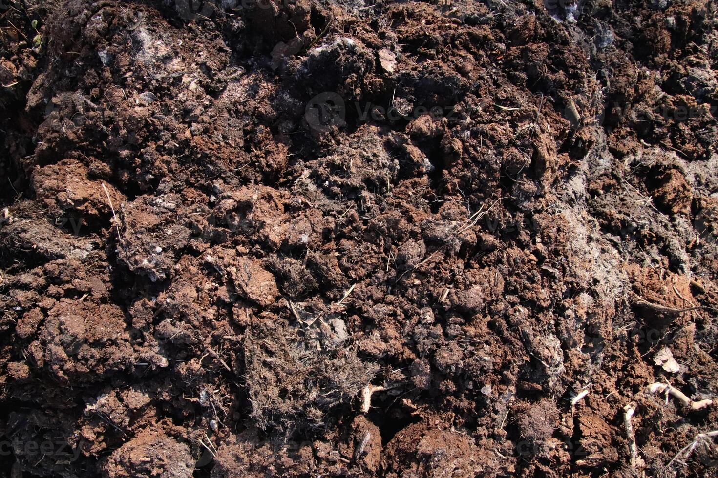 Dirt backdrop. Ground background. Loose soil texture. photo