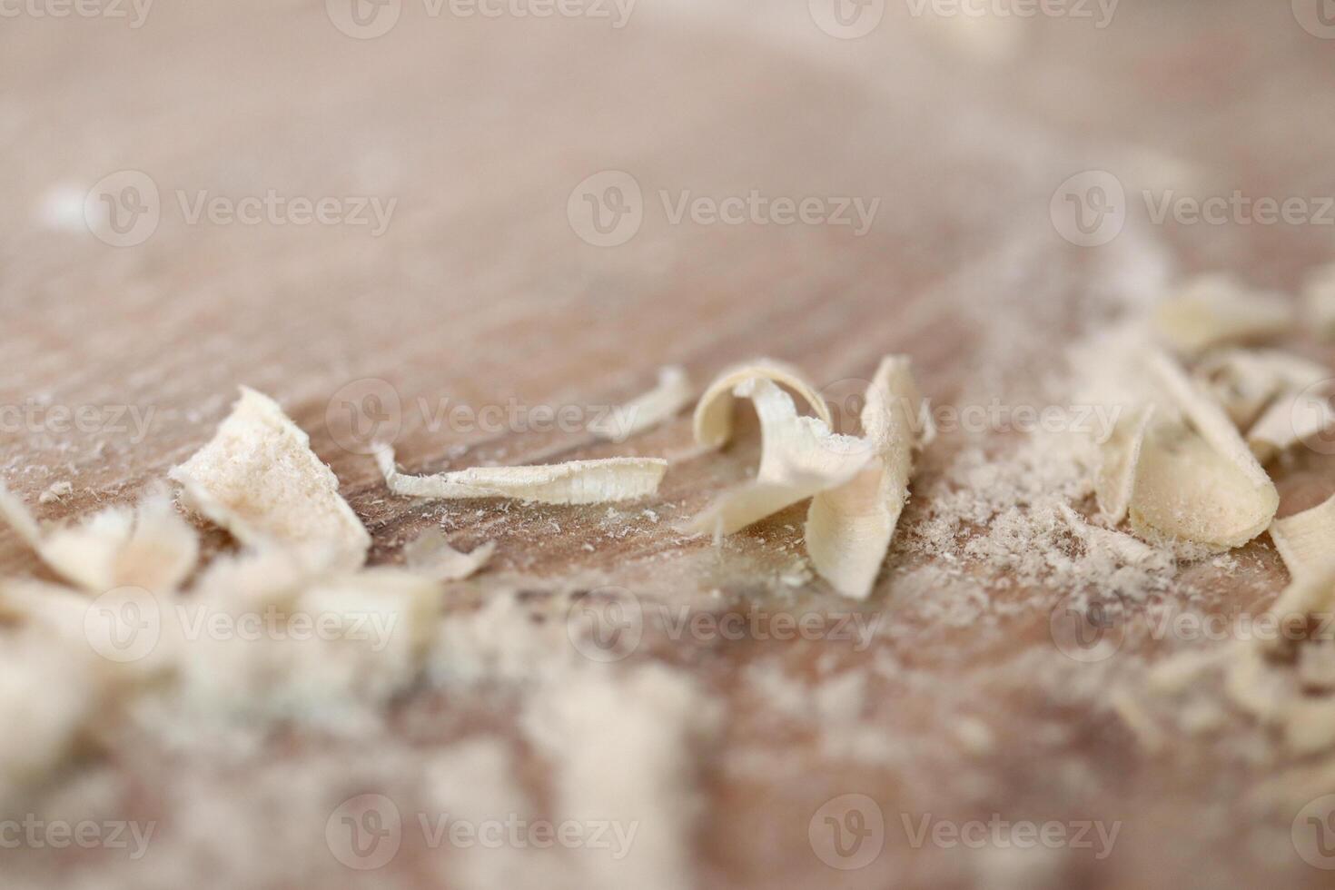 A piece of wood with sawdust crumbs lie on the floor. Wood works background. photo