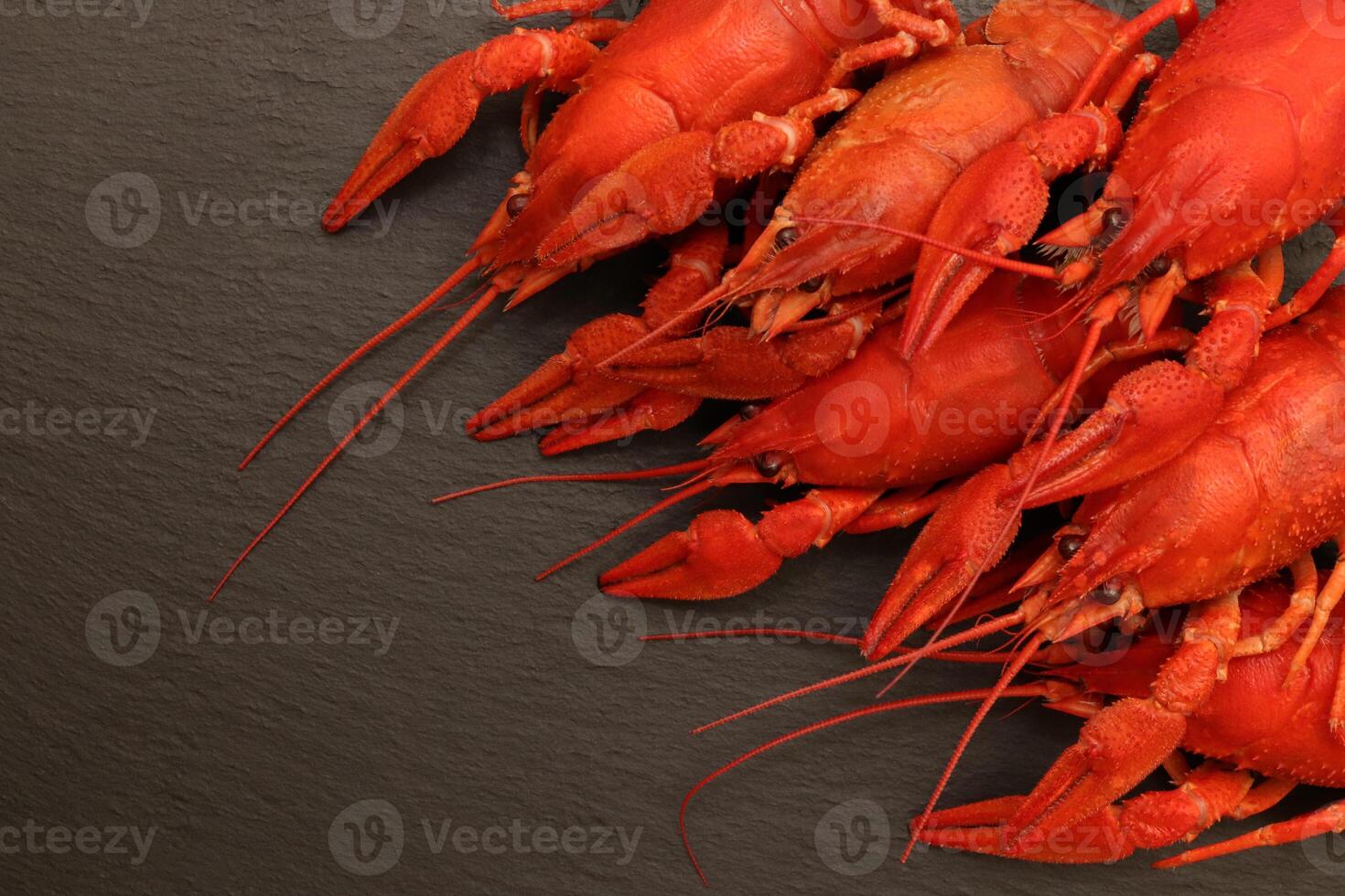 Shellfishes delicious lunch. Cooked red crayfishes on black stone background. Red boiled crayfishes food. photo