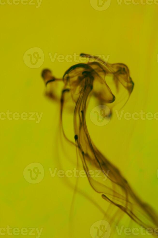 Water Ink Drip Art. Abstract Paint Drops Clouds. photo