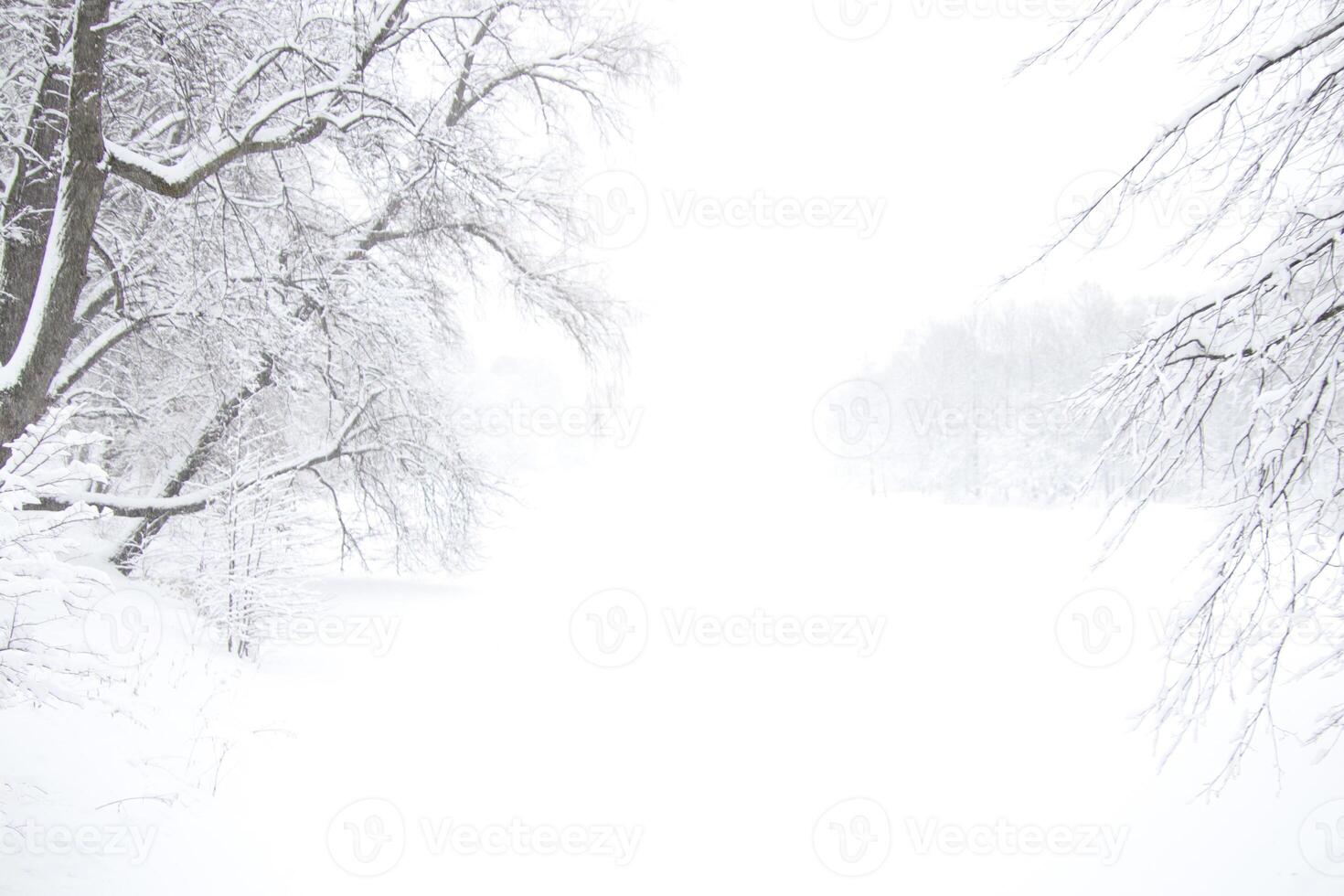Landscape of a winter lake stretching into the distance with a forest along the edges under a thick layer of snow in a snowfall photo