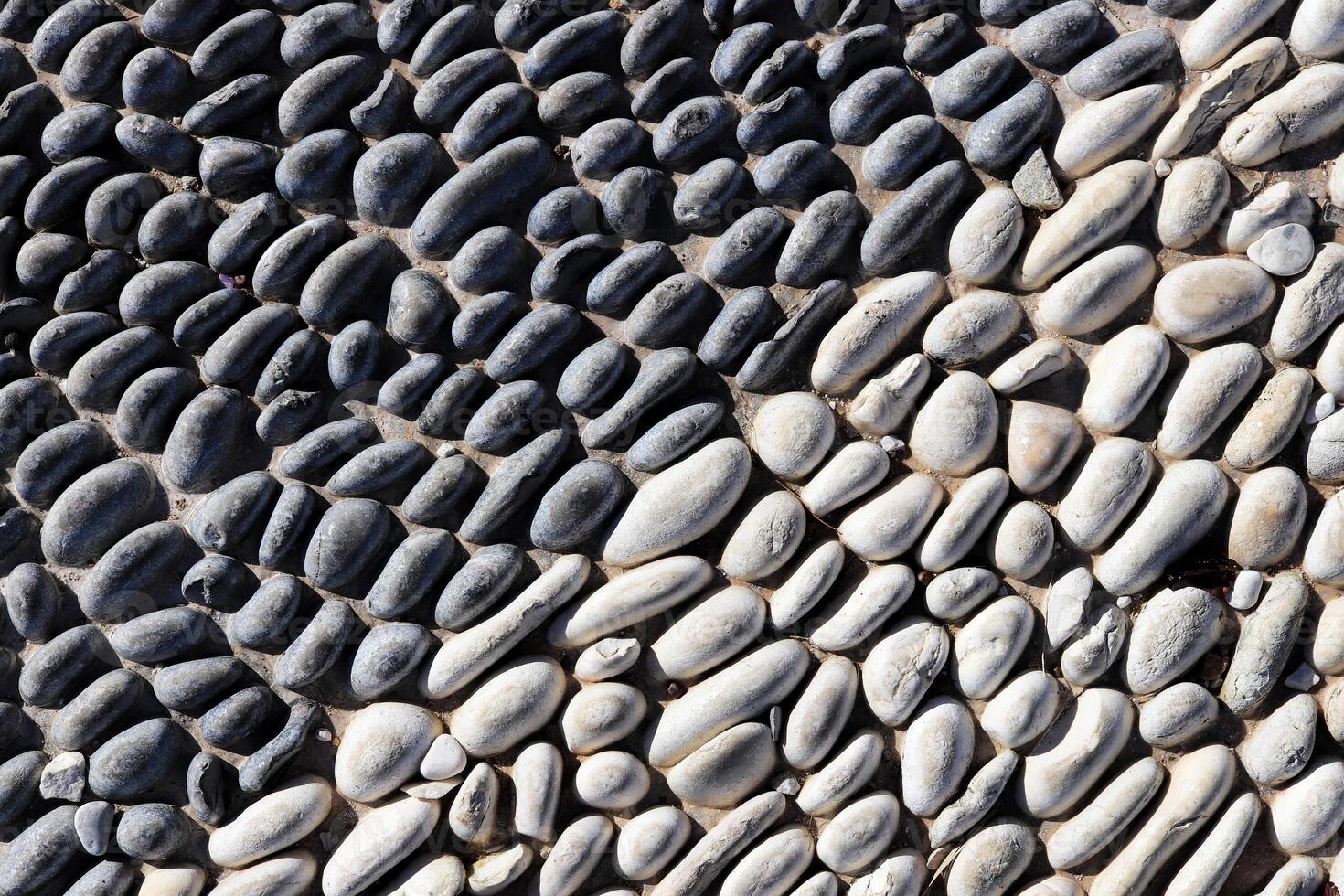 Lot of white masonry cladding pebble texture. Stones pattern background. photo