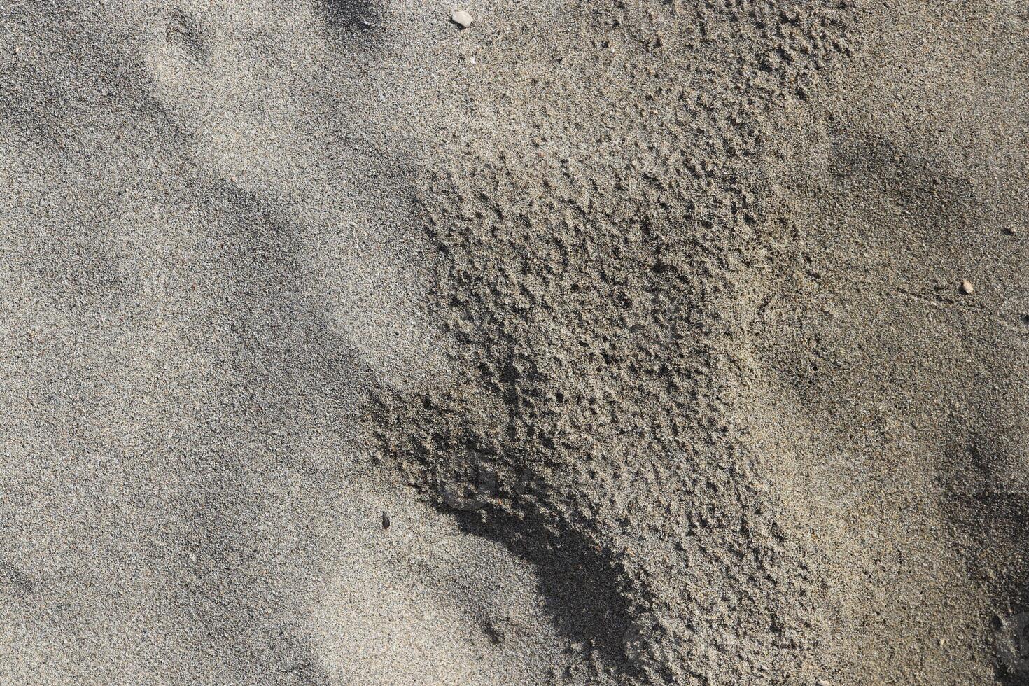 Dry and wet sand texture. Summer beach background. photo