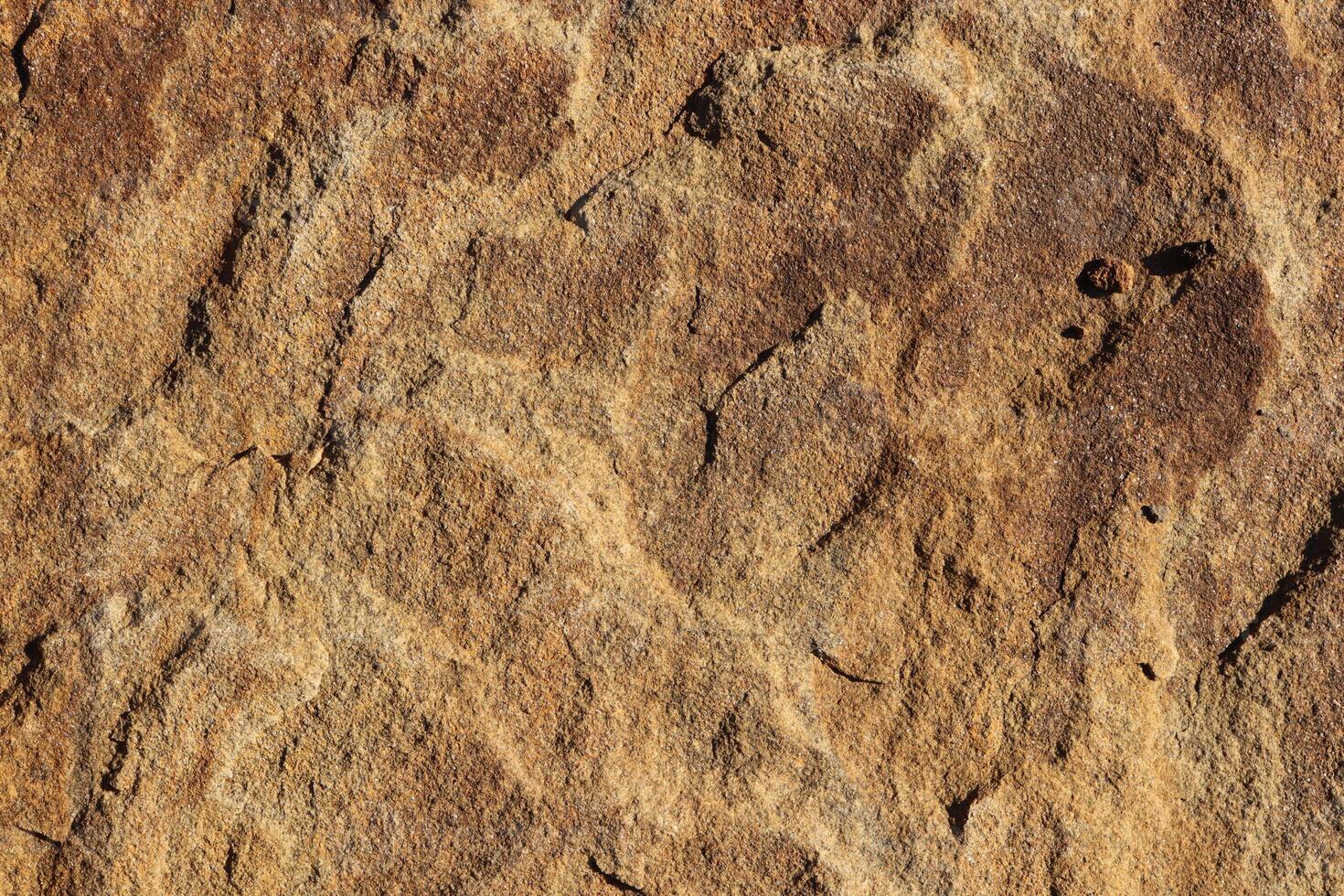 Brown detailed rock background texture. photo