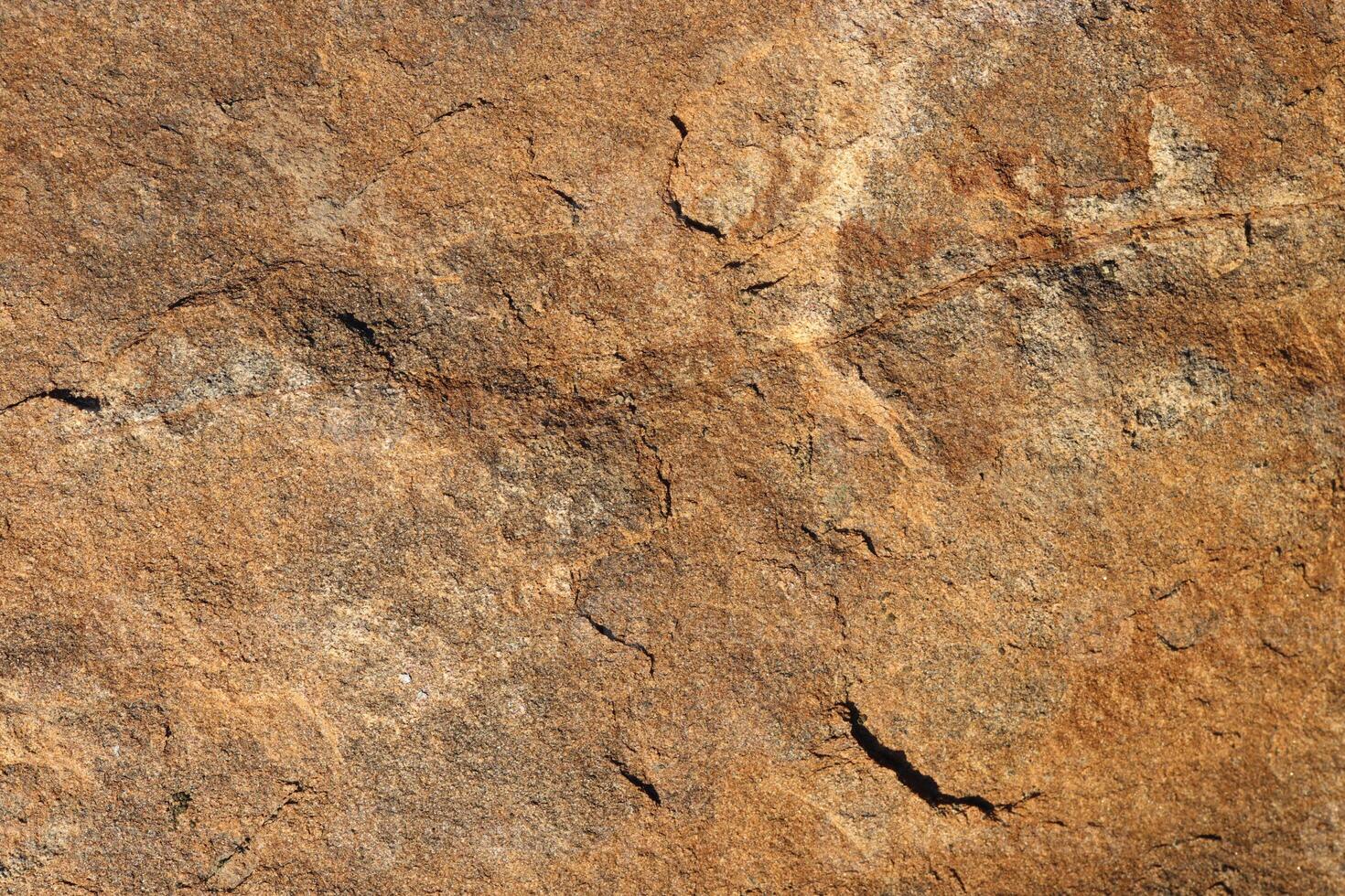 Brown textured nature stone pattern surface. photo