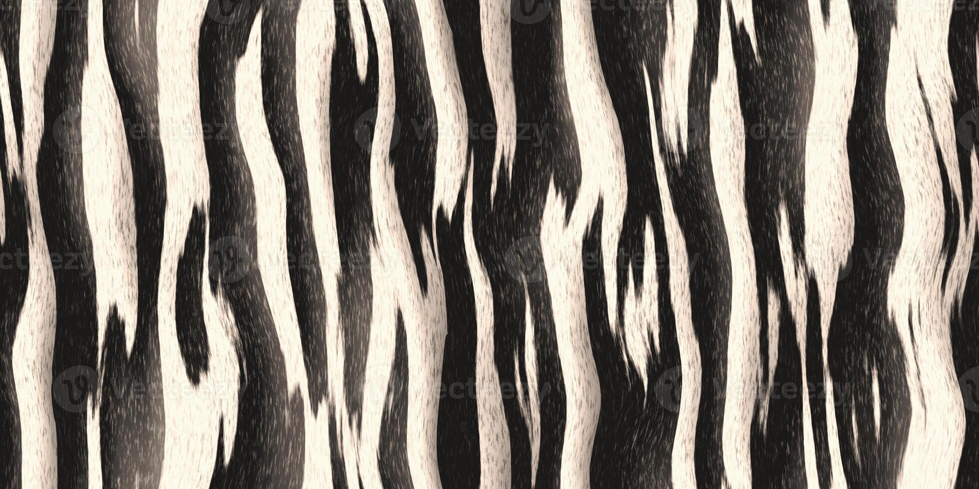 Seamless zebra fur textures. Black and white striped hairy background. Fluffy stripe monochrome pattern. photo