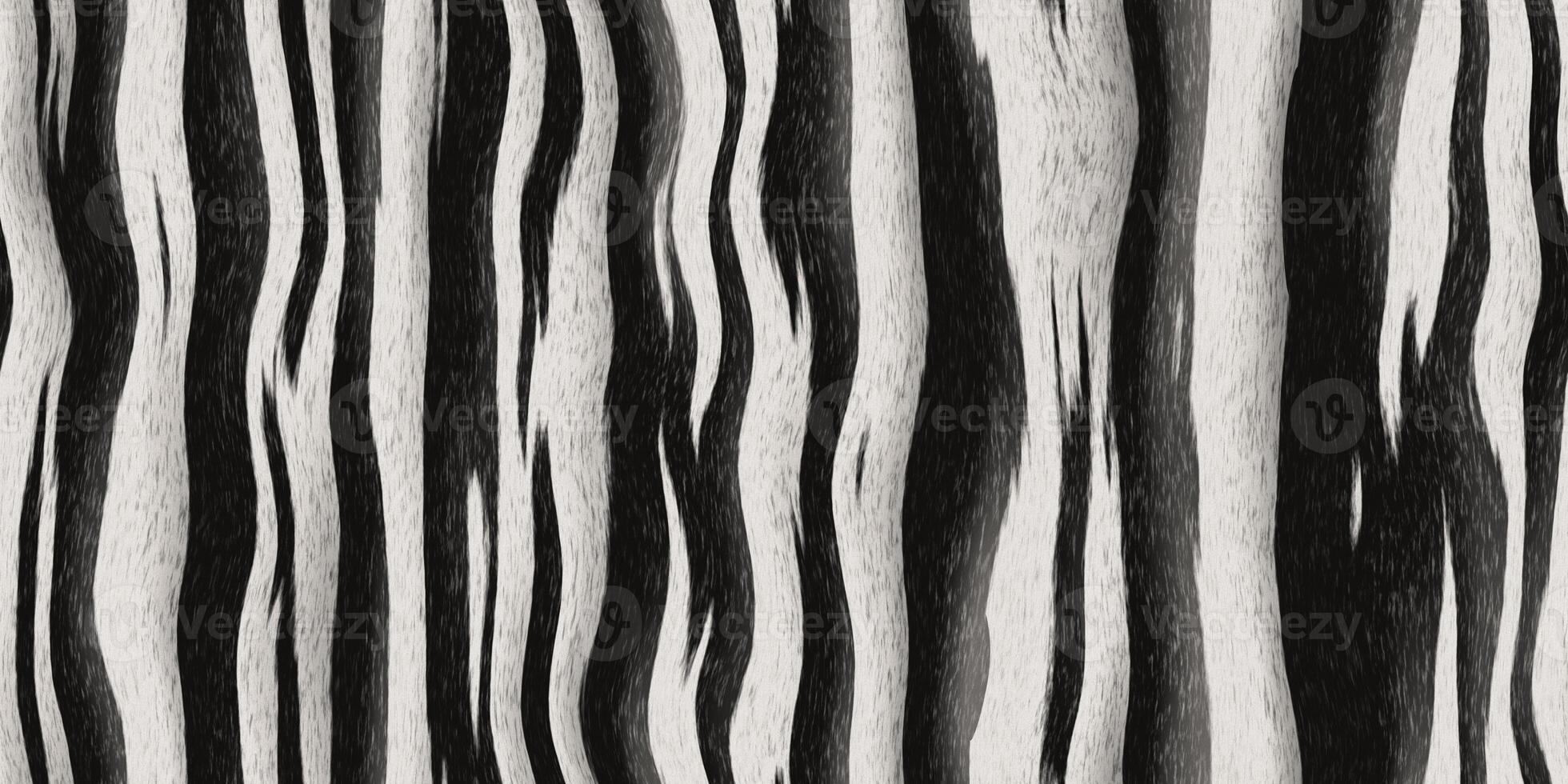 Black and white striped hairy background. Fluffy stripe monochrome pattern. Seamless zebra fur textures. photo