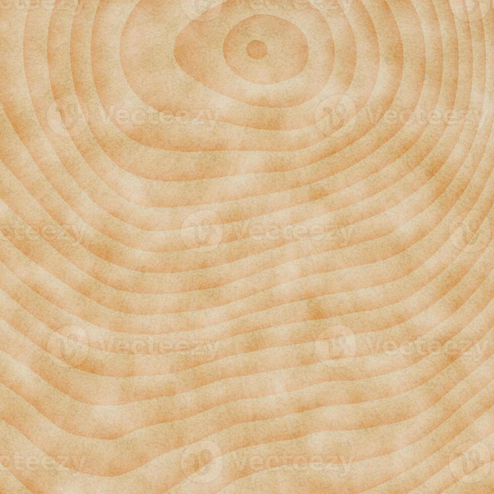 Tree stump fibers background. Wooden stub circles backdrop. Timber rings surface. Wood saw cut texture. photo