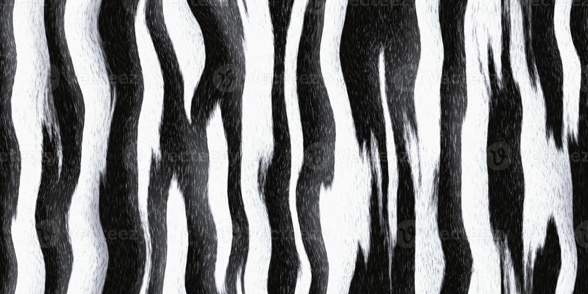 Seamless zebra fur textures. Black and white striped hairy background. Fluffy stripe monochrome pattern. photo