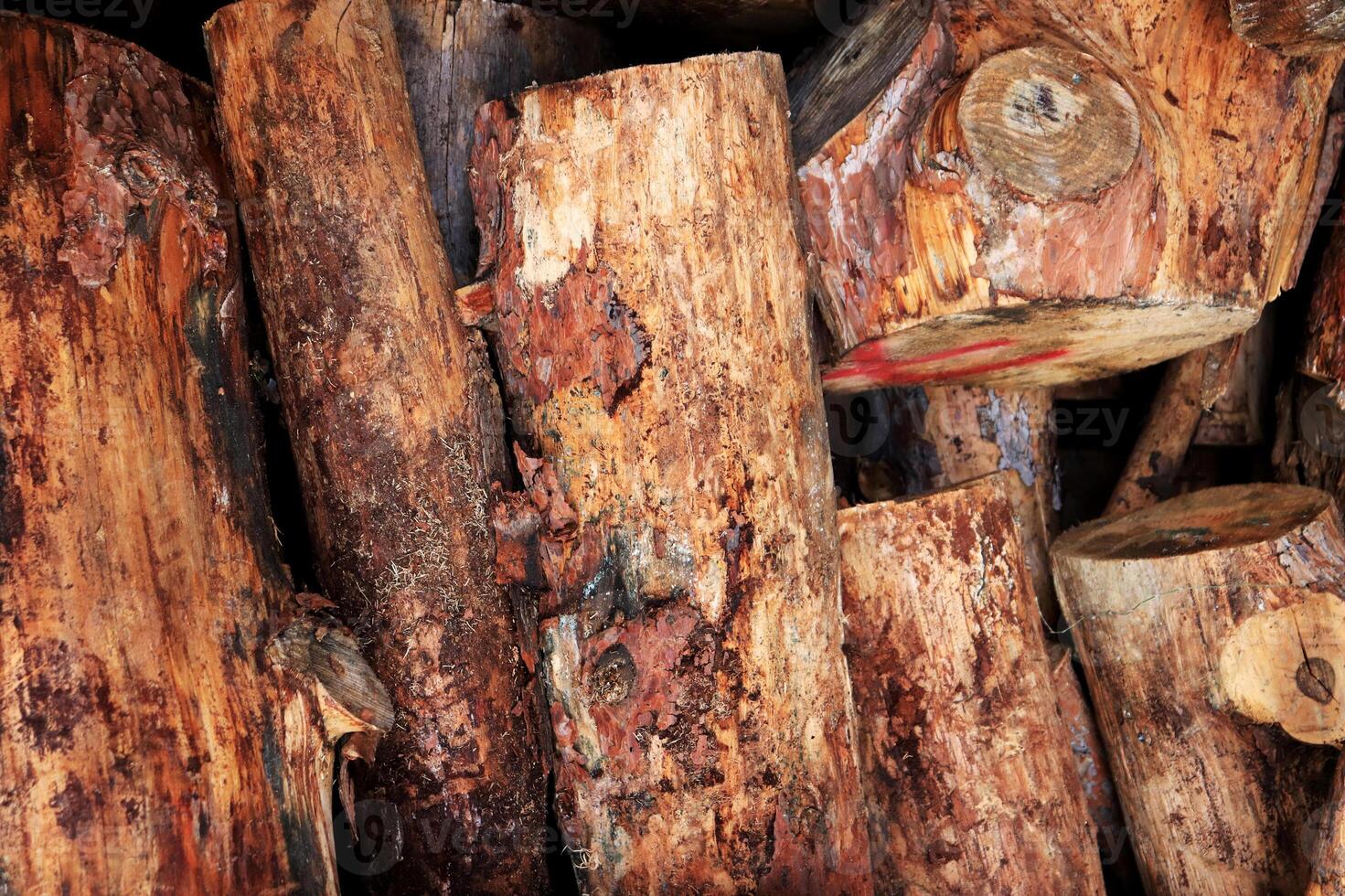 Hardwood logs row pile background. Wood logging texture. photo