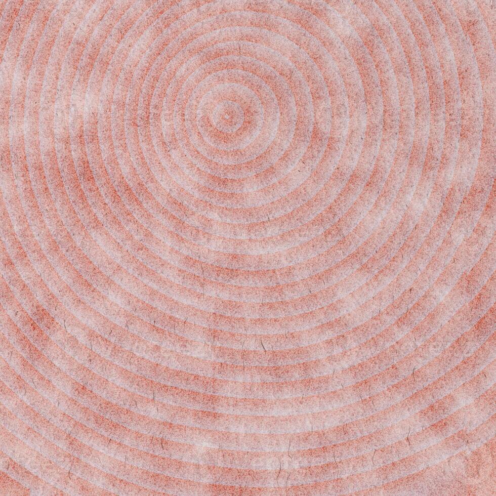Timber rings surface. Wood saw cut texture. Tree stump fibers background. Wooden stub circles backdrop. photo