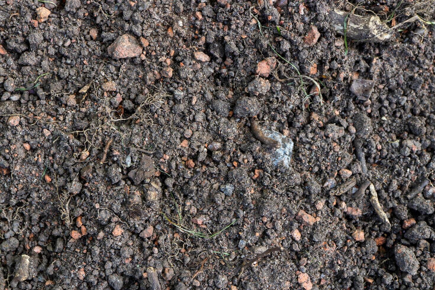 Ground texture. Brown soil agriculture background. Earth textures rough agriculture backdrop. photo
