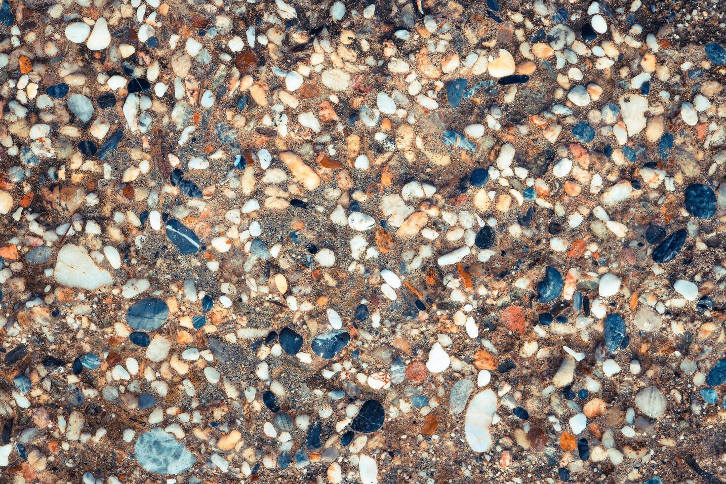 Weathered sea concrete with lot of different pebbles texture. Nautical marine surface background. photo
