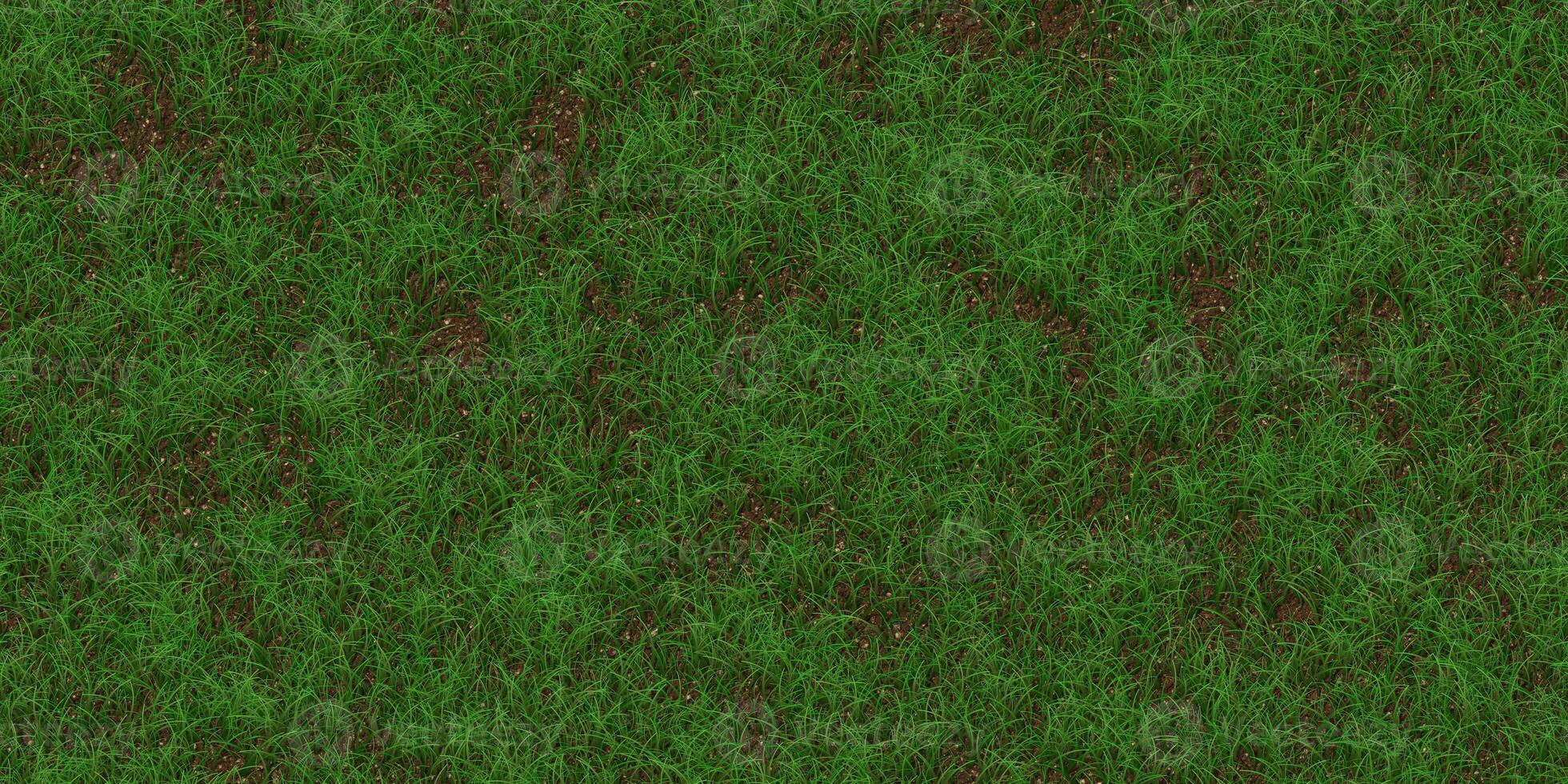Rare grass texture. Field background. Park lawn pattern. Textured meadow backdrop. photo