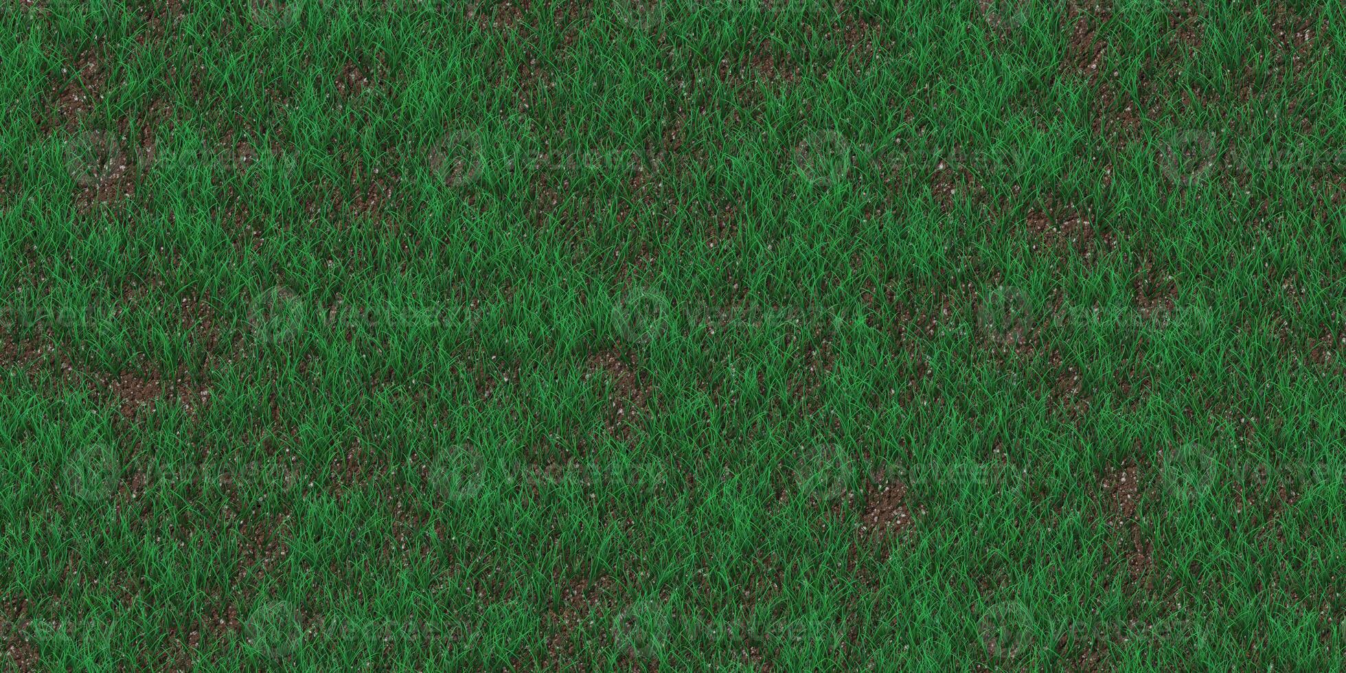 Rare grass texture. Field background. Park lawn pattern. Textured meadow backdrop. photo
