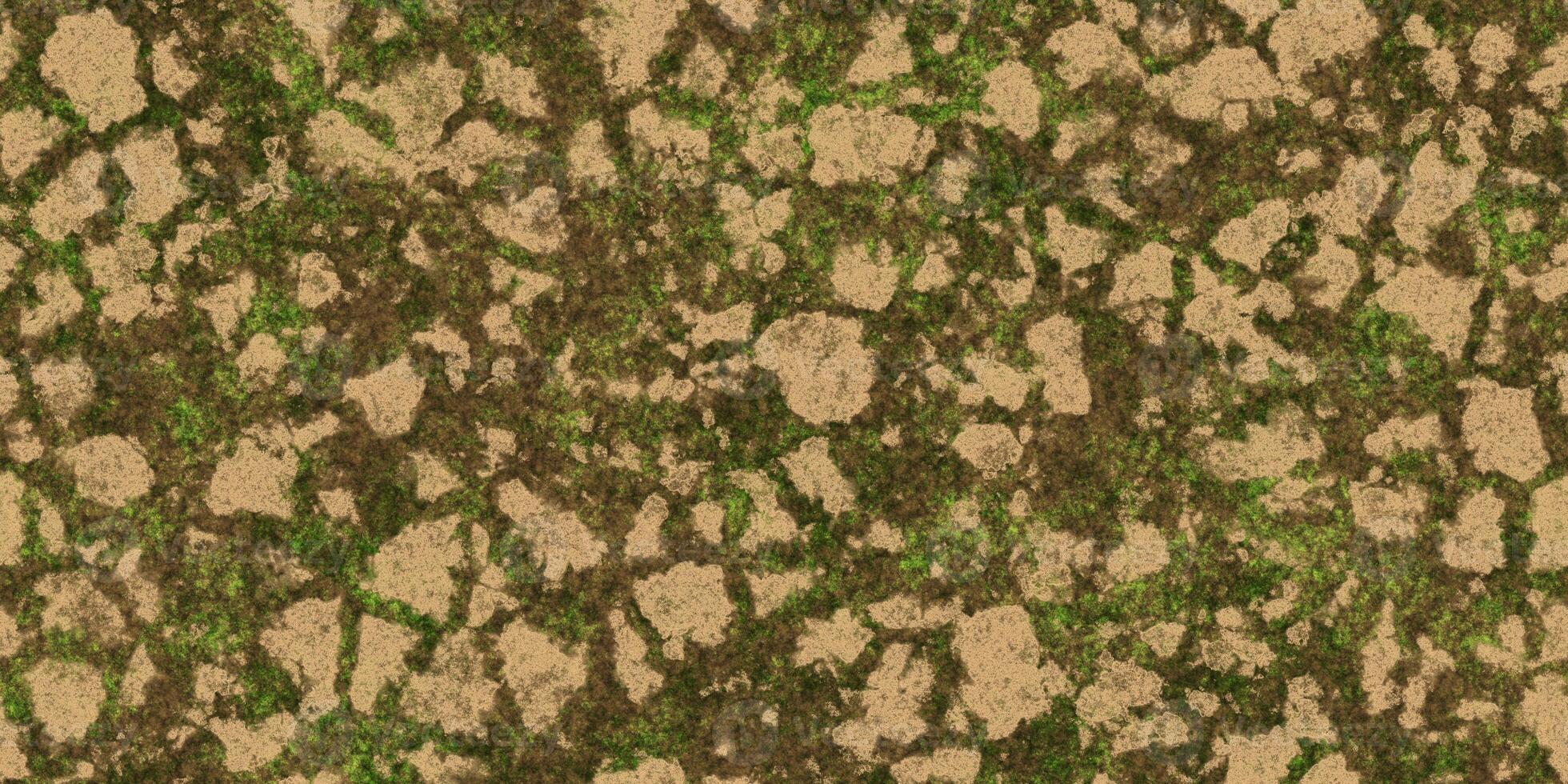Cracked ground with moss seamless texture. Dry land with grass background. Ecology terrain backdrop. Summer desert with mossy cracks surface. Hot grunge weather climate pattern. photo