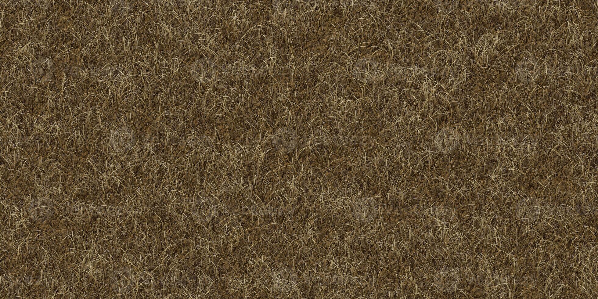 Park lawn pattern. Textured meadow backdrop. Dry grass texture. Field background. photo