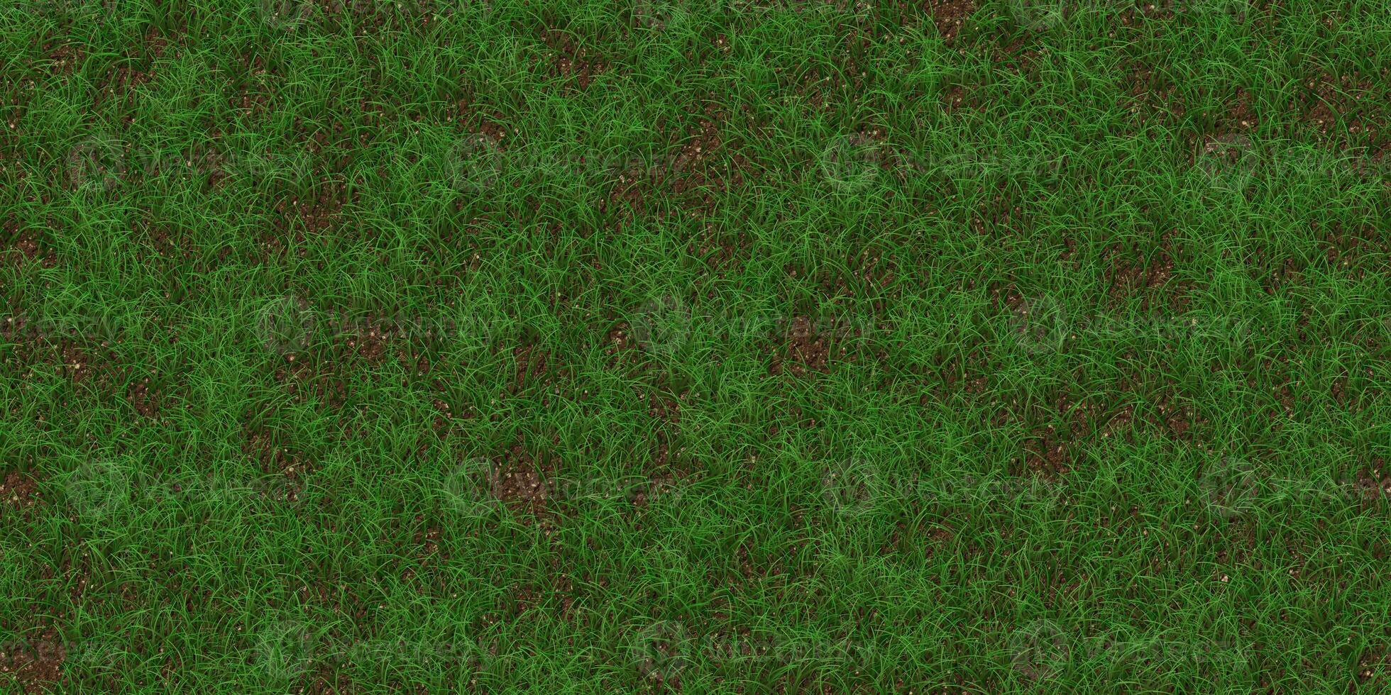 Rare textured meadow backdrop. Grass texture. Field background. Park lawn pattern. photo