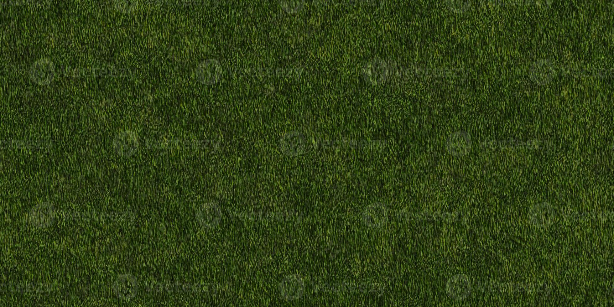 Lush textured meadow backdrop. Grass texture. Field background. Park lawn pattern. photo