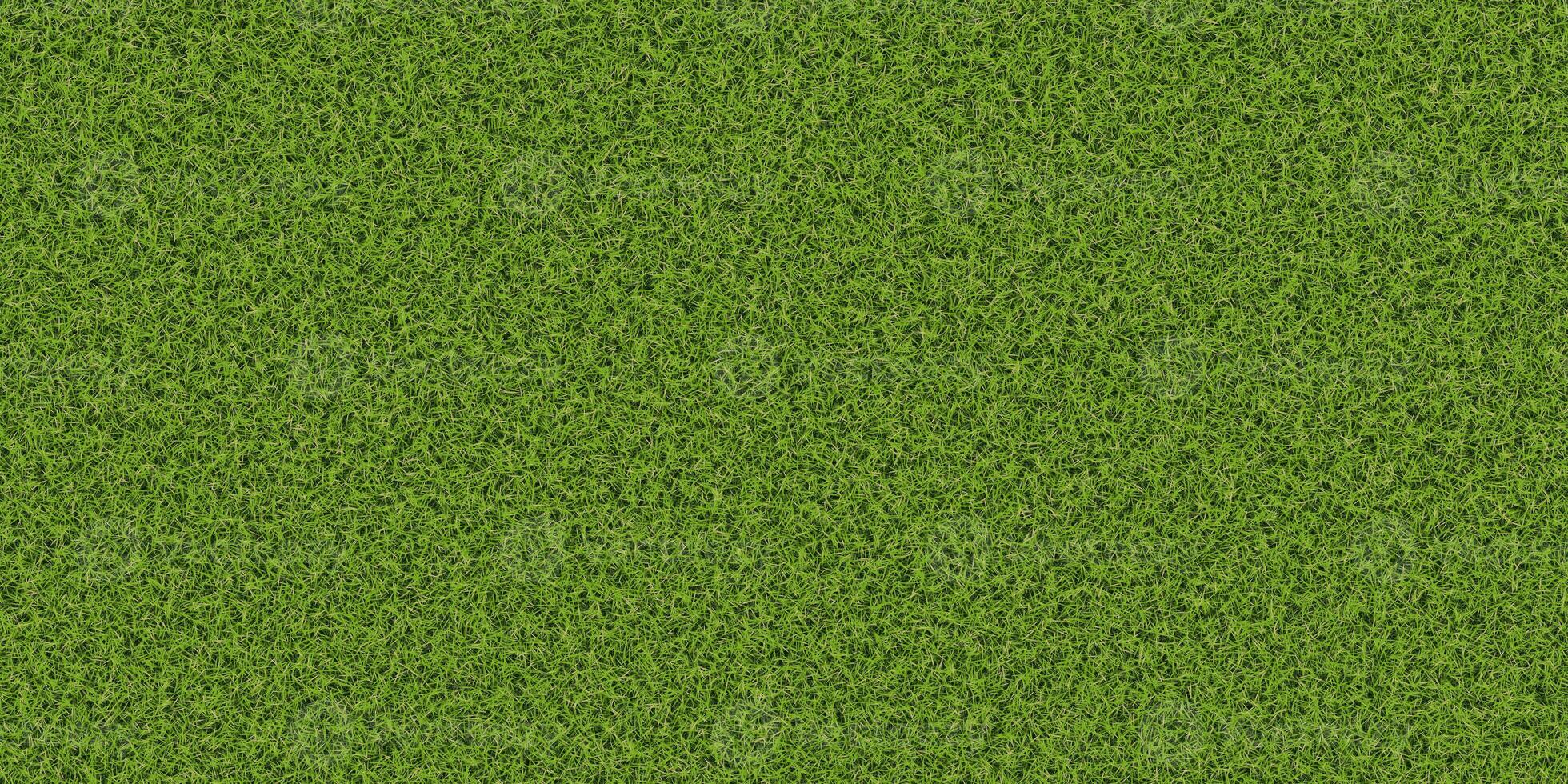 Dense lush park lawn pattern. Textured meadow backdrop. Grass texture. Field background. photo