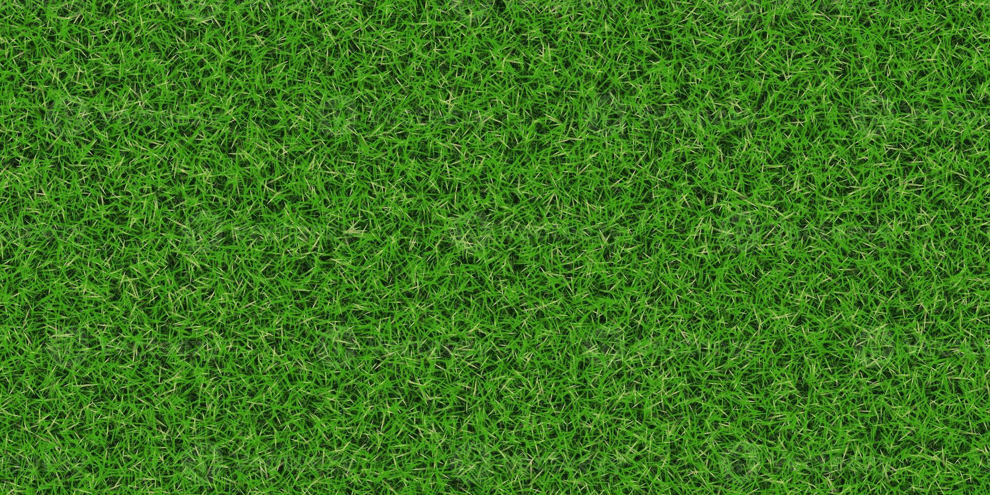 Dense lush field background. Park lawn pattern. Textured meadow backdrop. Grass texture. photo