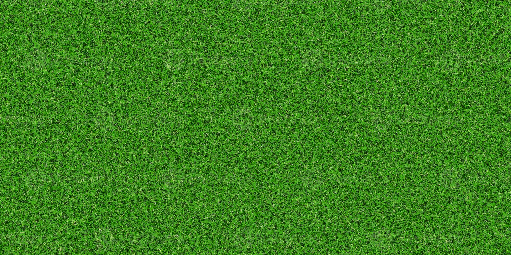 Dense lush grass texture. Field background. Park lawn pattern. Textured meadow backdrop. photo