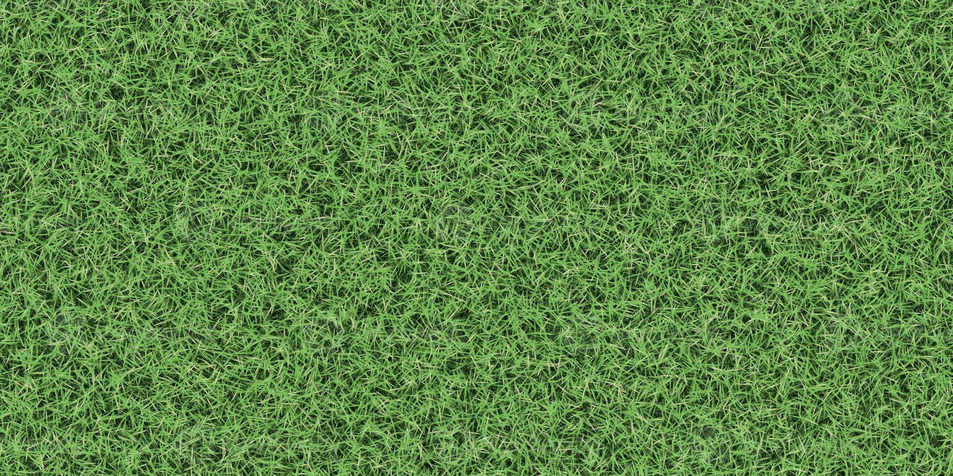 Dense lush textured meadow backdrop. Grass texture. Field background. Park lawn pattern. photo