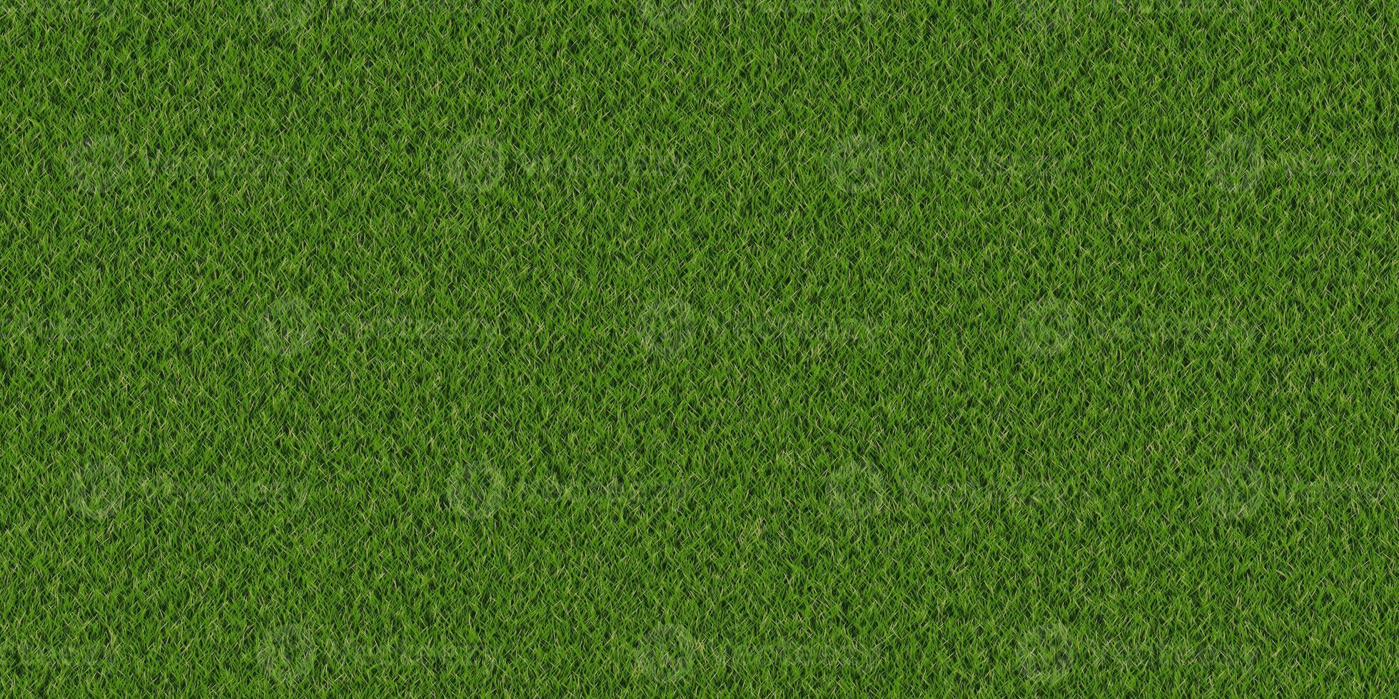 Dense lush park lawn pattern. Textured meadow backdrop. Grass texture. Field background. photo