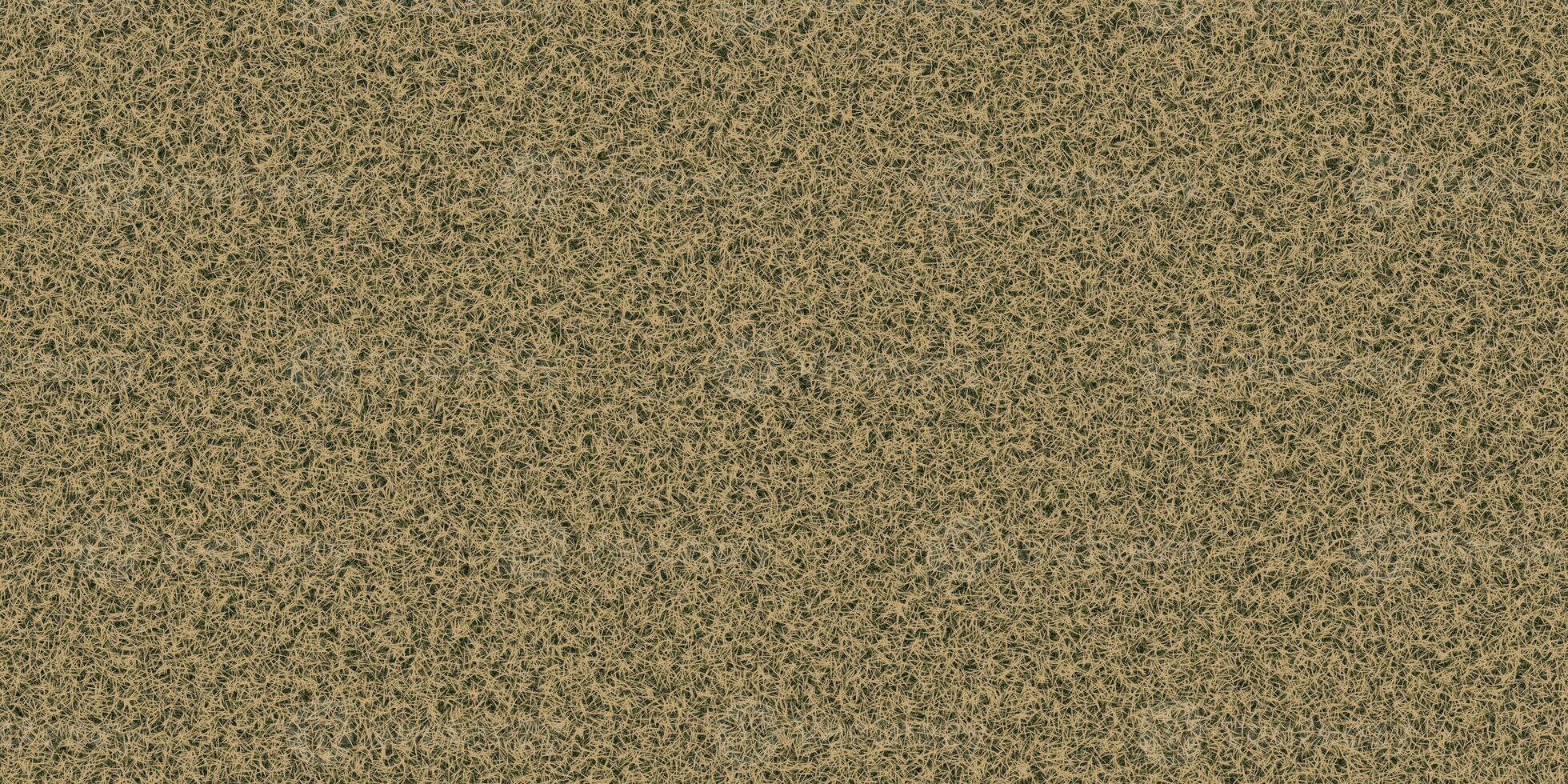 Dry textured meadow backdrop. Grass texture. Field background. Park lawn pattern. photo