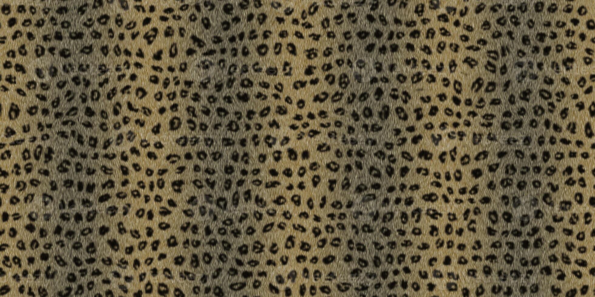 Leopard panther wild animal design. Fuzzy fashion creative. Wool texture. Fur background. Warm surface. Hairy pattern. Furry backdrop. photo
