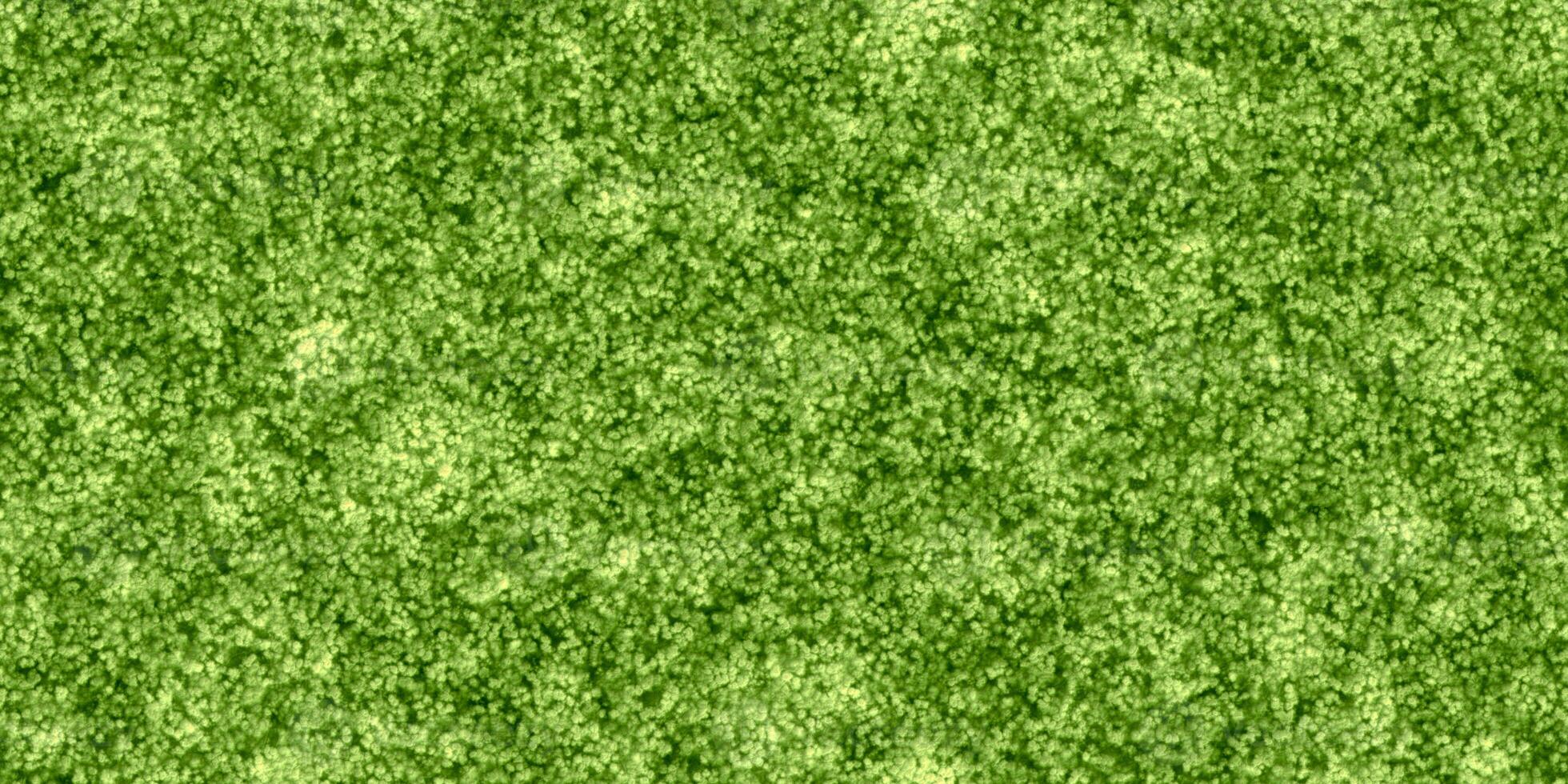 Green frieze floor rug fabric textile. Cable carpet texture. Seamless background. photo