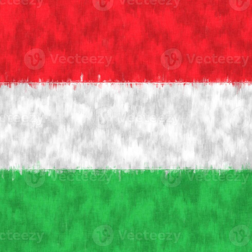 Hungary oil painting. Hungarian emblem drawing canvas. A painted picture of a country's flag. photo