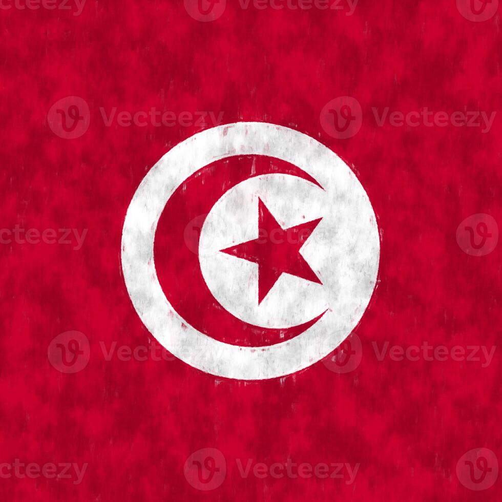 Tunisia oil painting. Tunisian emblem drawing canvas. A painted picture of a country's flag. photo