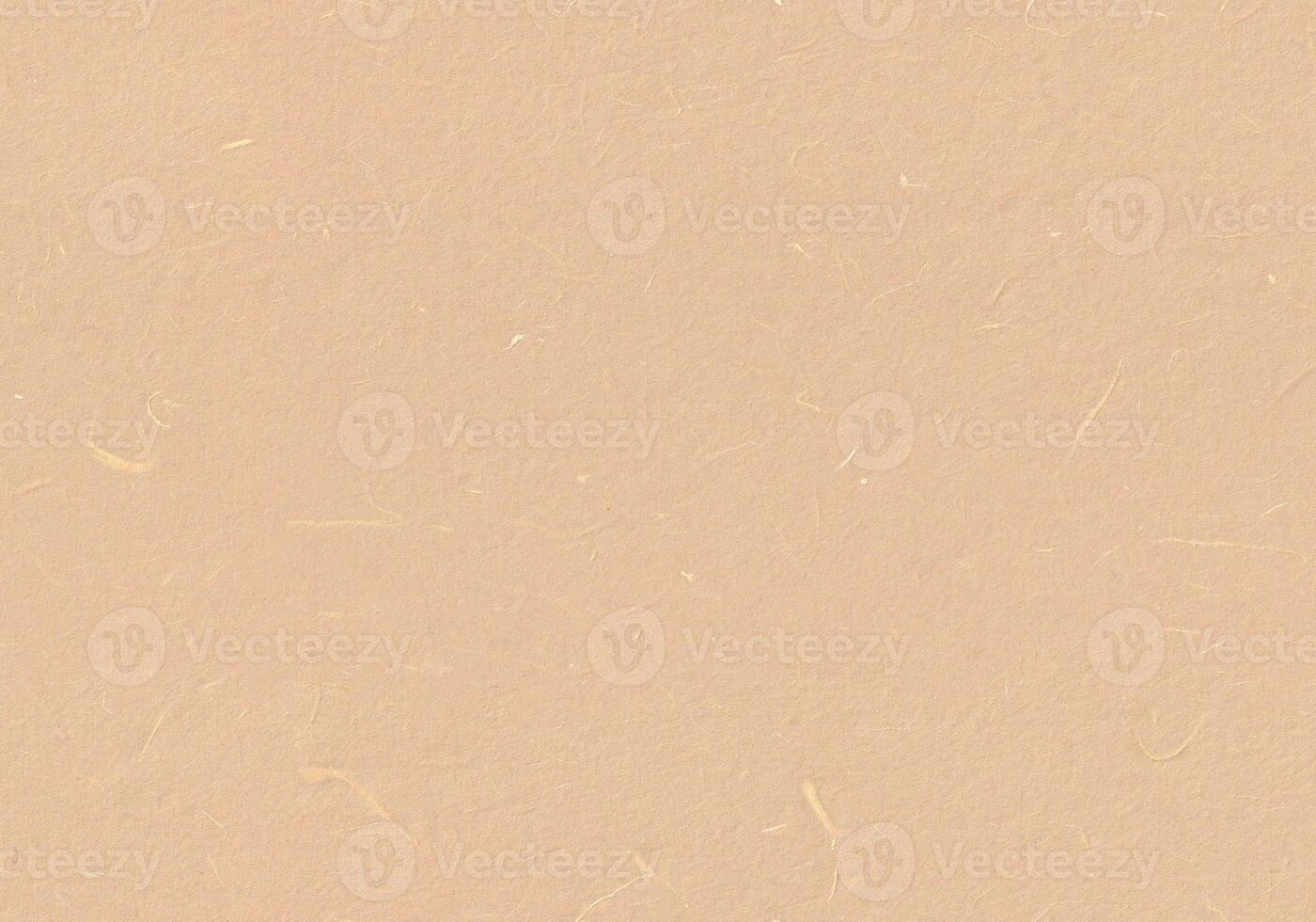 Handmade Rice Paper Texture. Pancho, Negroni, New Tan, Chamois Color. Seamless Transition. Scrapbook Paper Design for the Background. photo