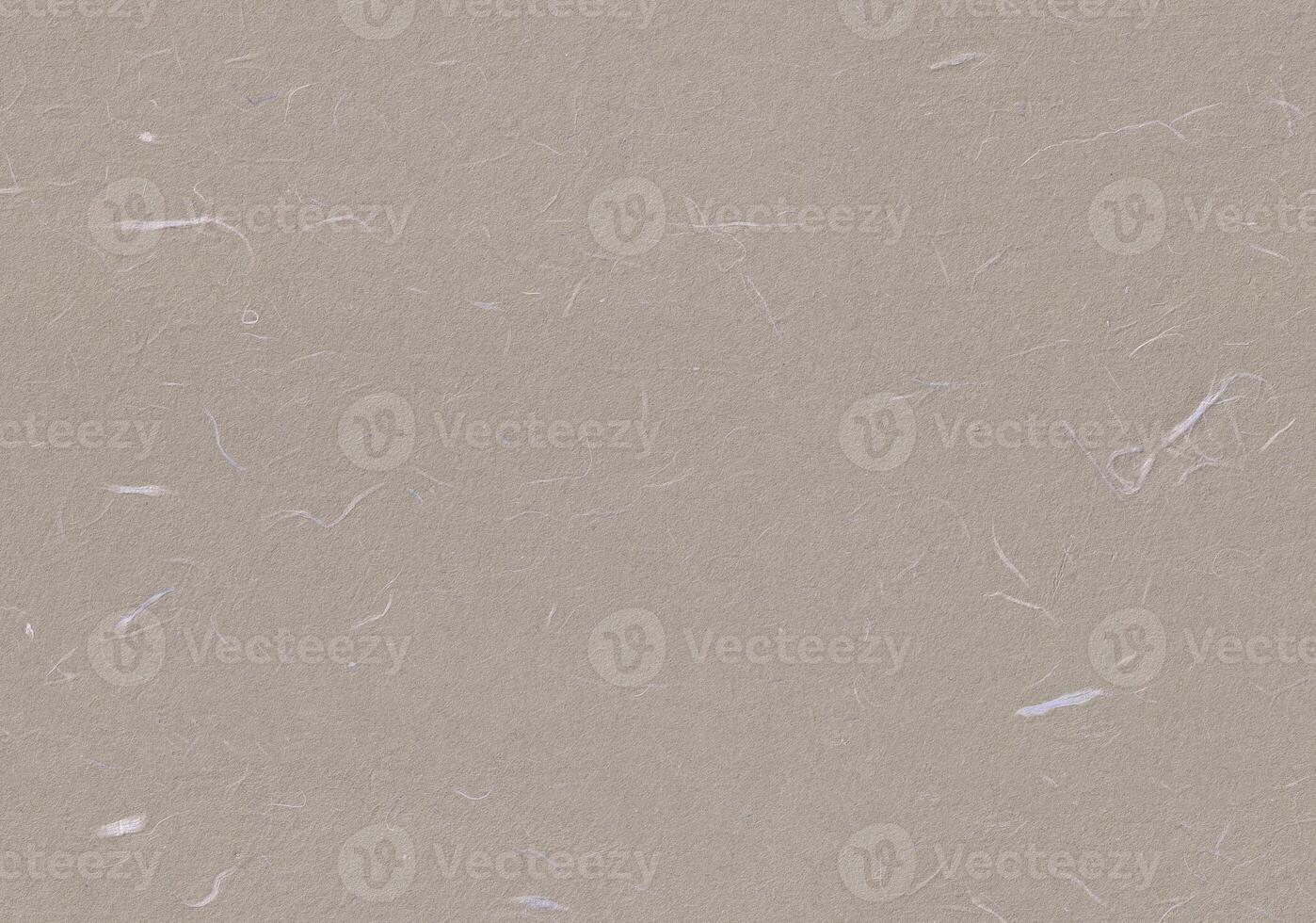 Fibers Rice Paper Texture. Zorba, Cloudy, Dawn, Eagle Color. Antique Organic Rough Paper for the Background. Seamless Transition. photo