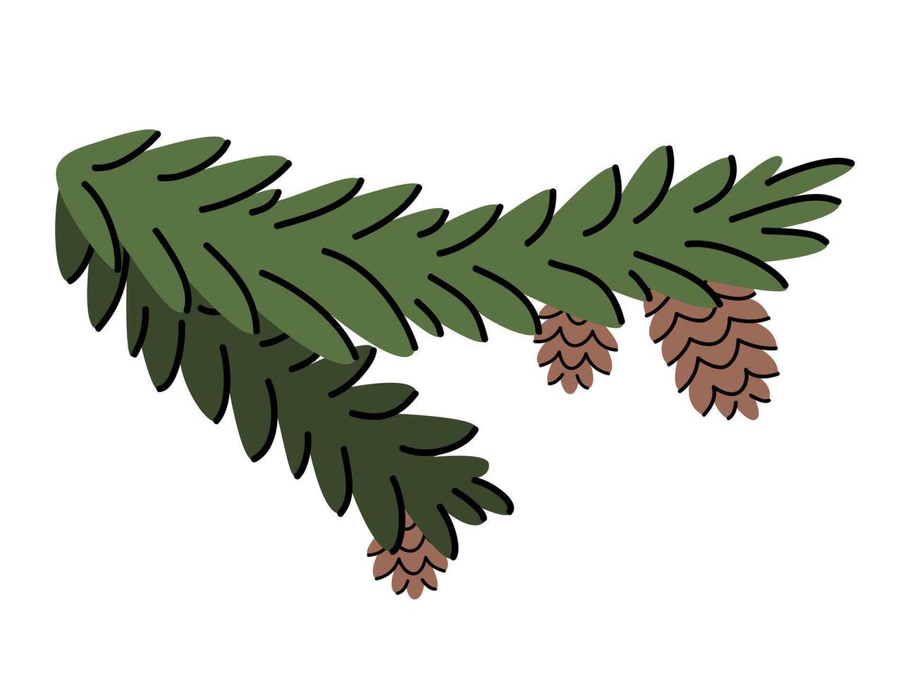 Hand drawn winter illustration of pine twig with cones. Branch of spruce, fir. Conifer floral design. Cute simple needles botanical print. Flat in colored doodle style. Isolated. vector